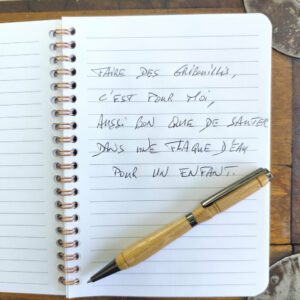 Stylo en bois original